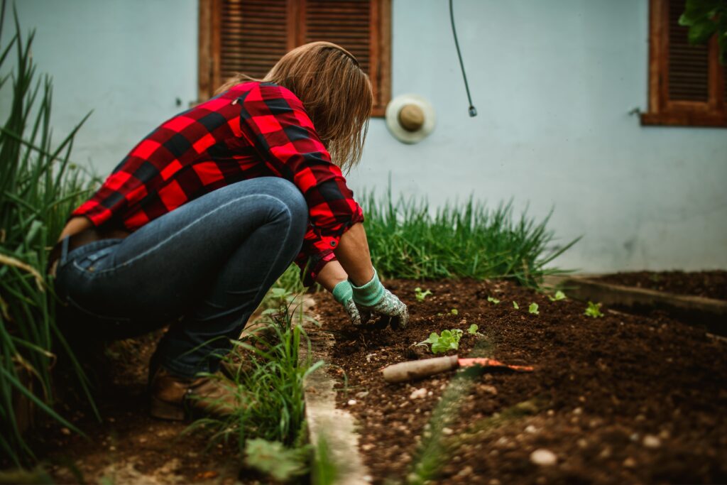 Woman gardenign.