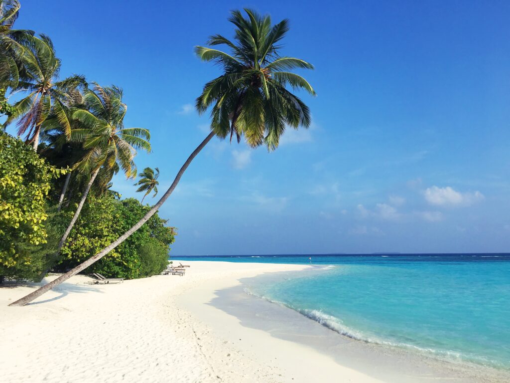 White sand beach of the Maldives.