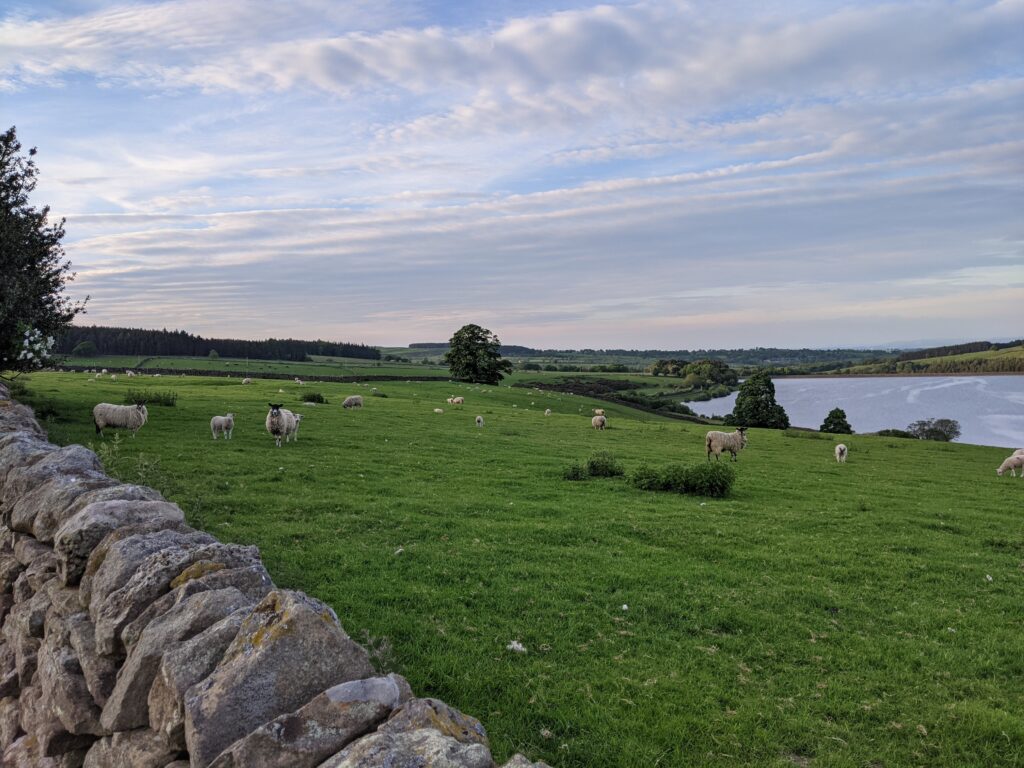 The view from our countryside staycation retreat.