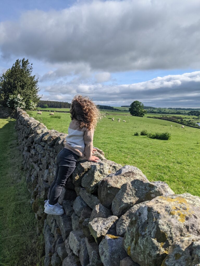Amelia stood on a dry stone wall looking out over the hills on our Yorkshire Dales break.