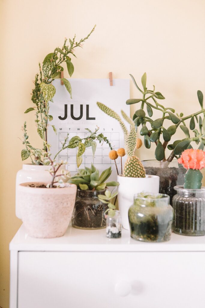 Joys in July image. July calendar with greenery.