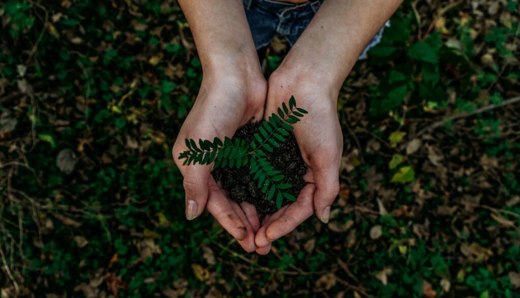 Become a more eco friendly parent.