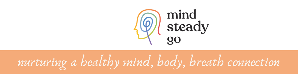 Mind steady go blog logo.