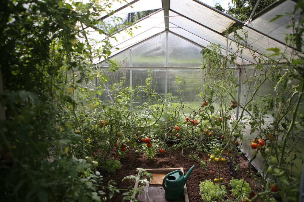 Growing my own veggies is one of the things I'll be taking into 2022 with me.