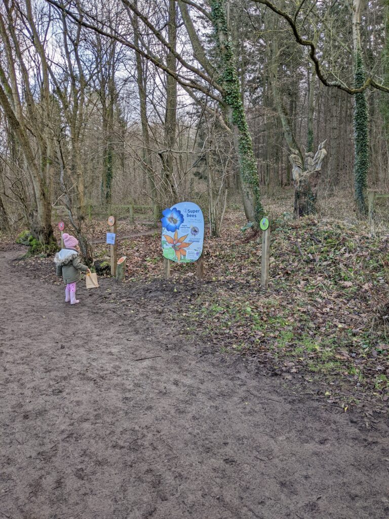 My daughter exploring Guisborough forest and the Julia Donaldson activity trail.