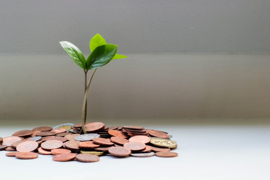Boost your statutory maternity wage and make money on maternity leave.