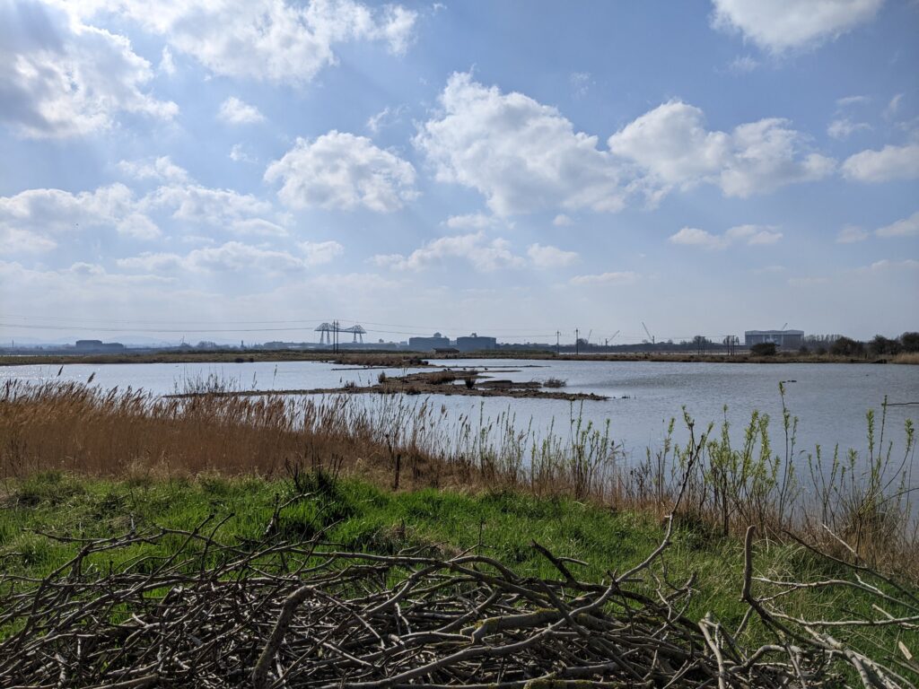 RSPB Saltholme.
