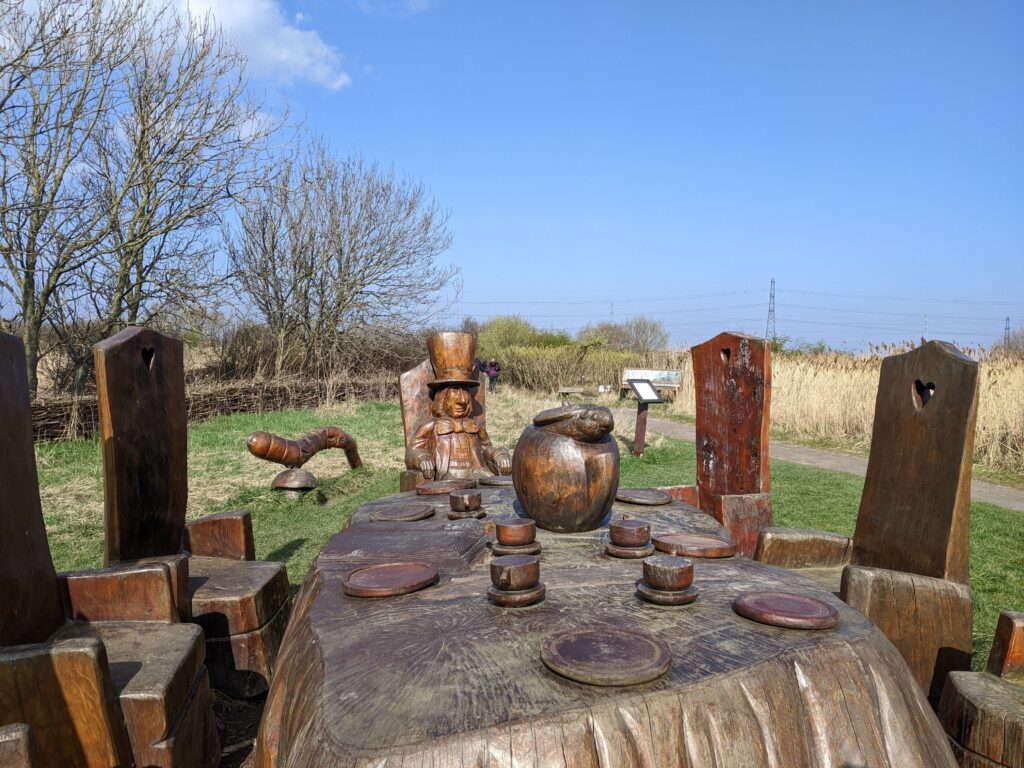 Alice in Wonderland set up in the nature reserve.