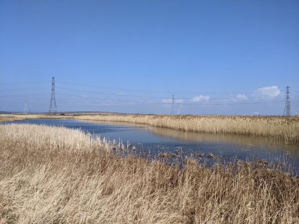 Views from the marshes in Saltholme RSPB.