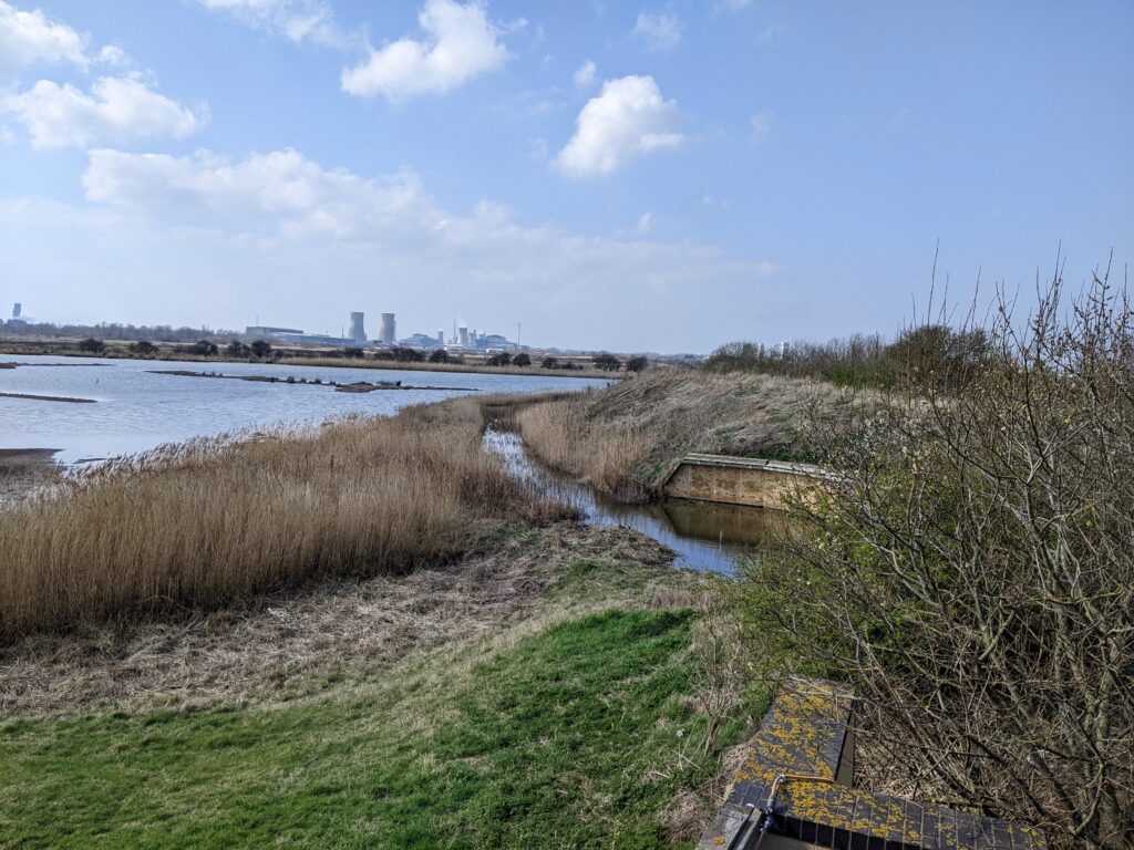 Views of Teessides industrial scene in the bacground at Saltholme.