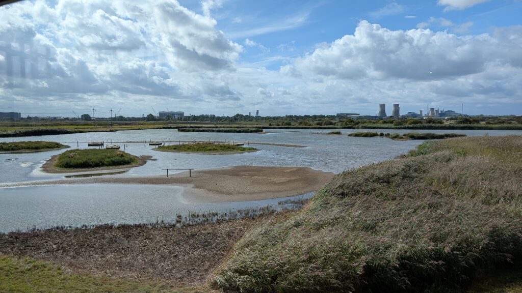 Views from the cafe at Saltholme.