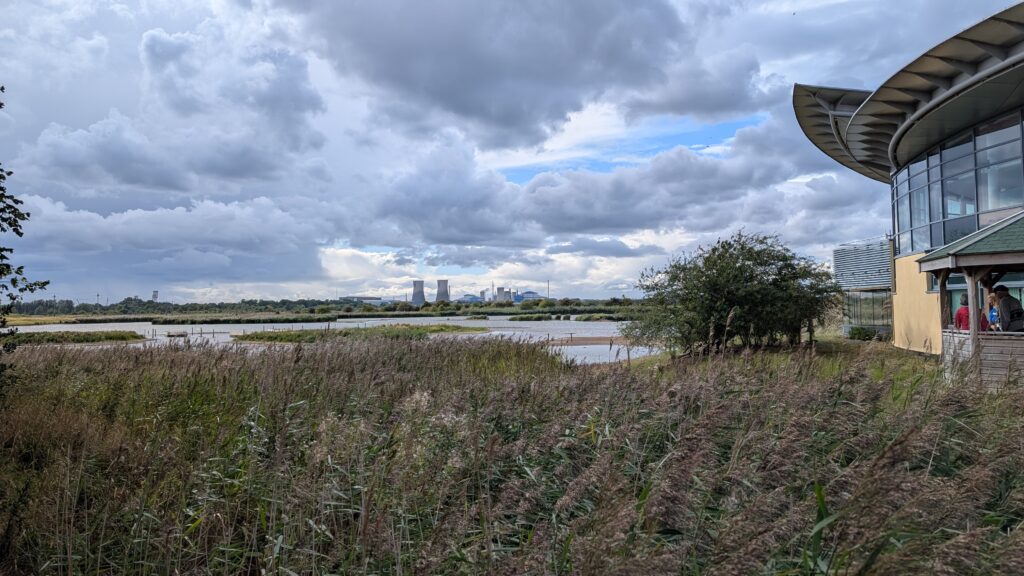 Outside the cafe area at RSPB saltholme