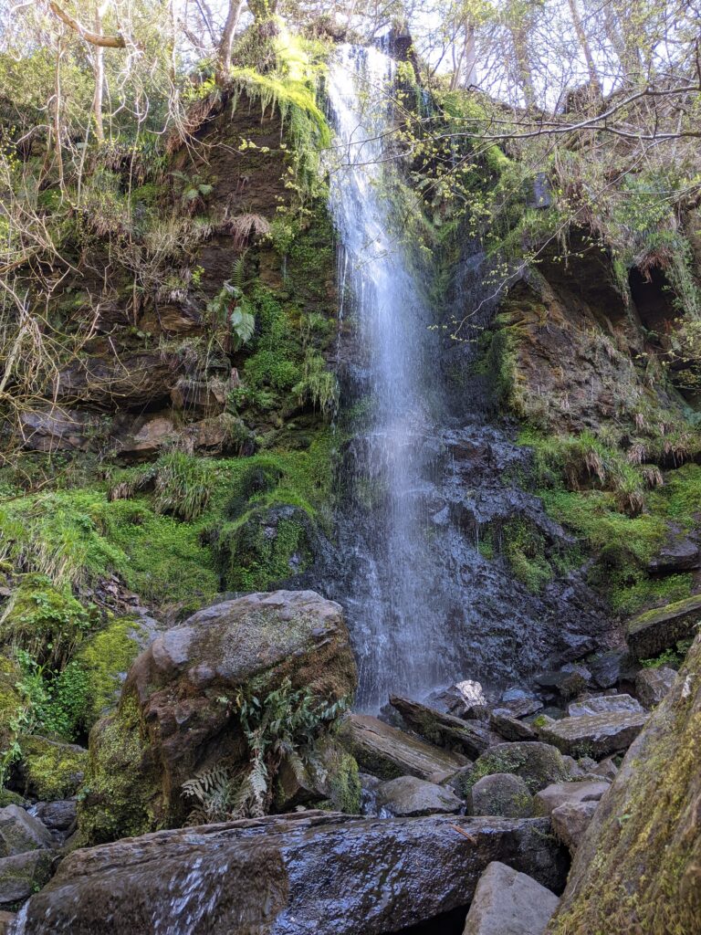 Walking to Mallyan Spout in Goathland has been one of my families simple joys this month.