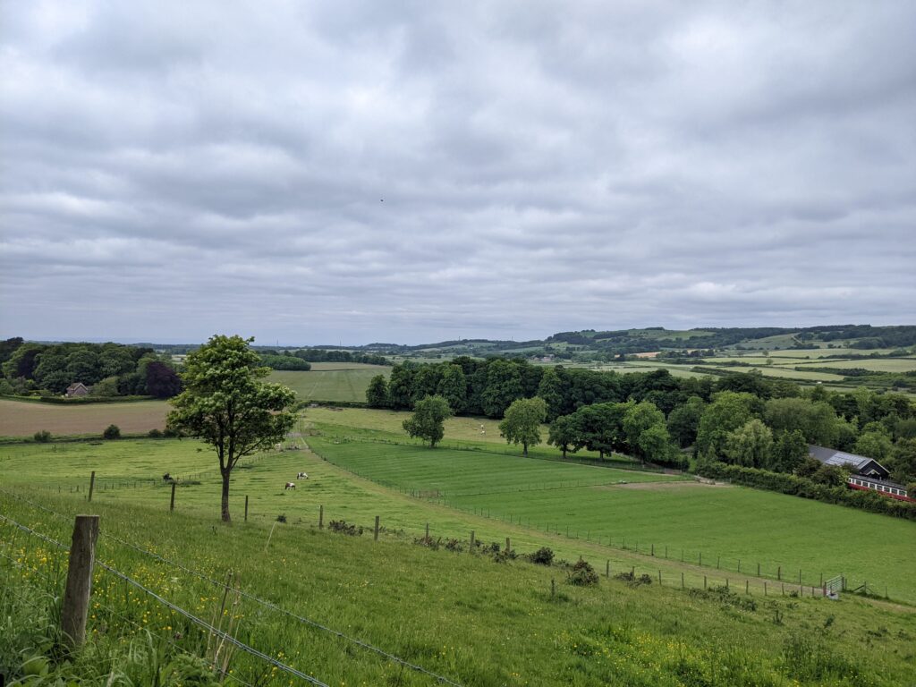 Views from Thomas's Wood in Guisborough.