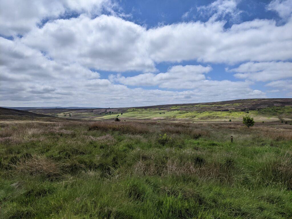 North Yorkshire moors.