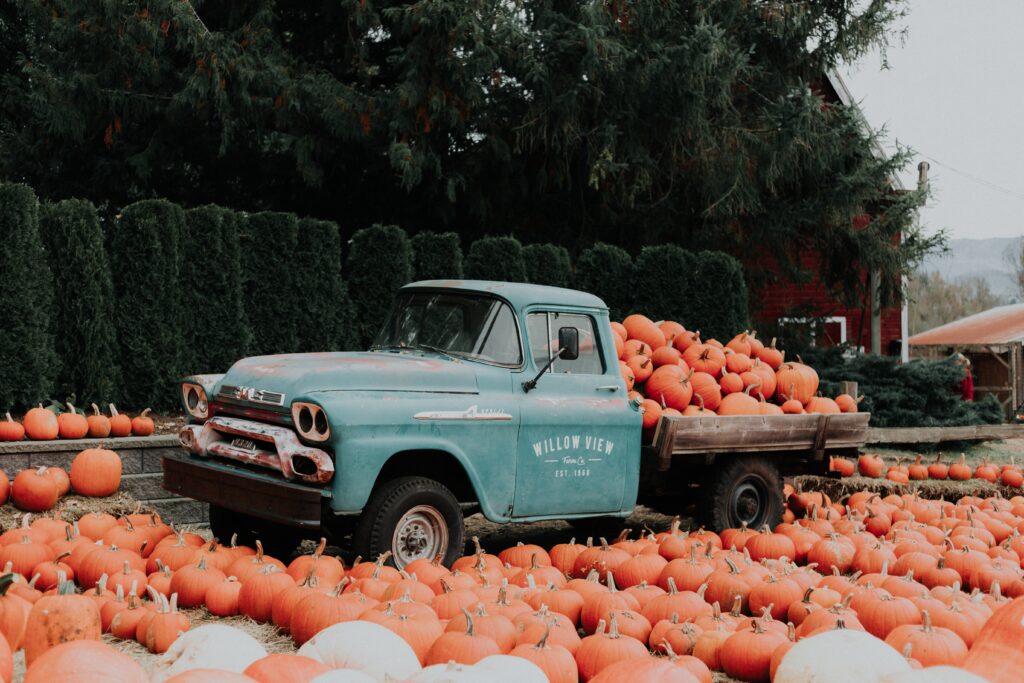 Pumpkin picking int he north east. This is your go to comparison list.