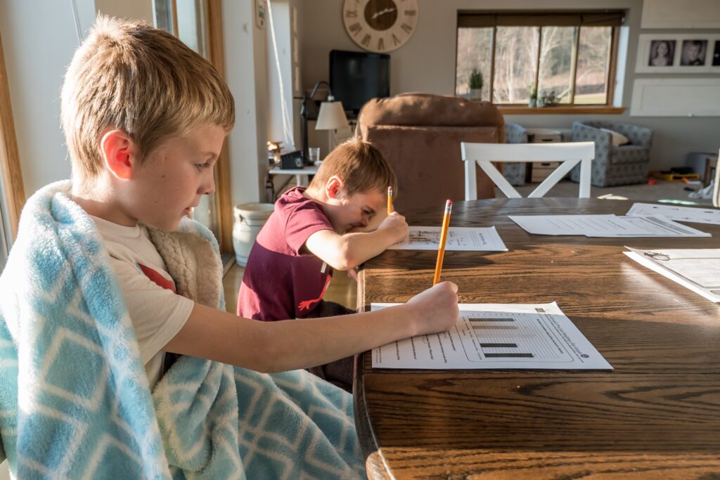 Two boys sat at a desk engaging in private tuition.