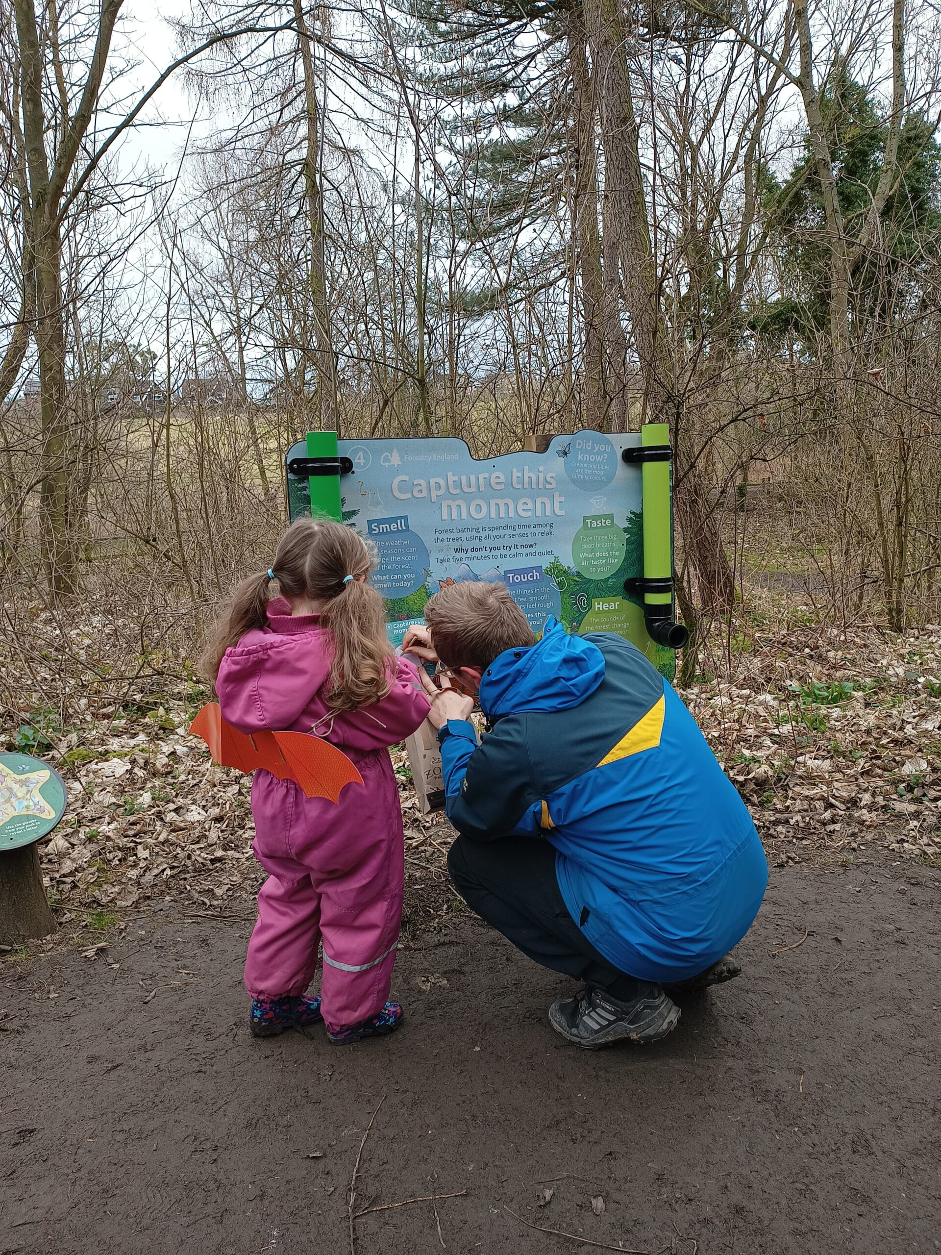 days-out-in-the-north-east-the-zog-trail-at-guisborough-forest
