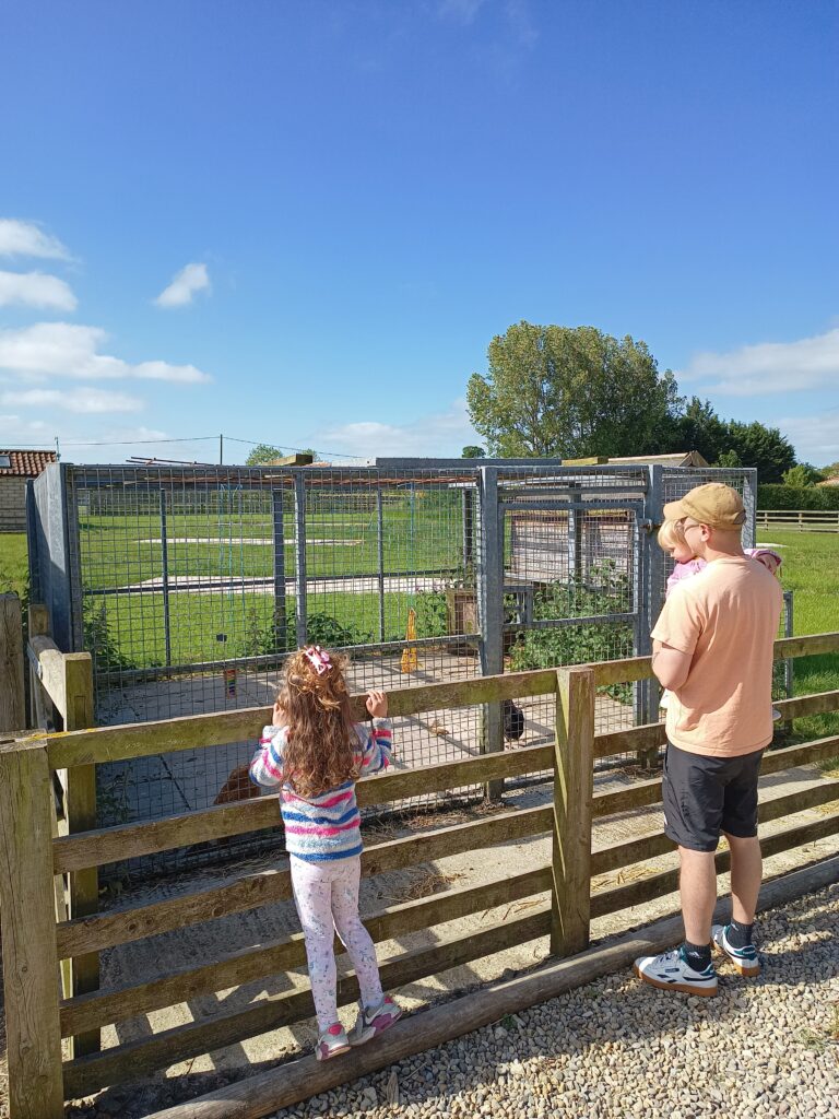 Family looking at chicken coop.