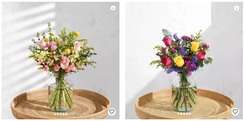 Bloom and Wild flowers.