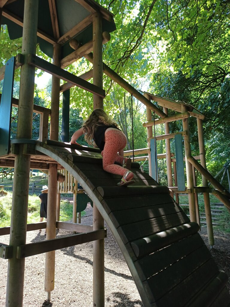 The playground area at Flatts Lane Woodland Country Park.