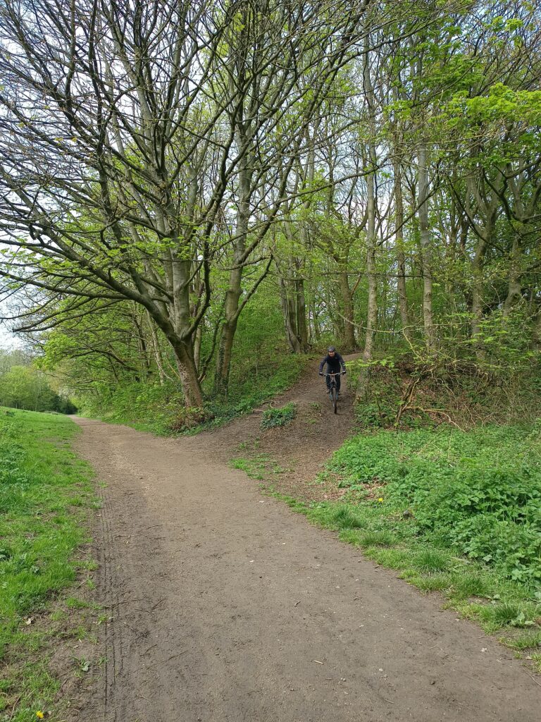 Bike trails at Flatts Lane Woodland Country Park.