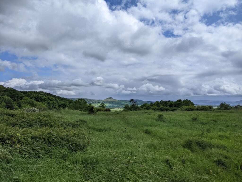 Views of Roseberry Topping from Flatts Lane Country Park.