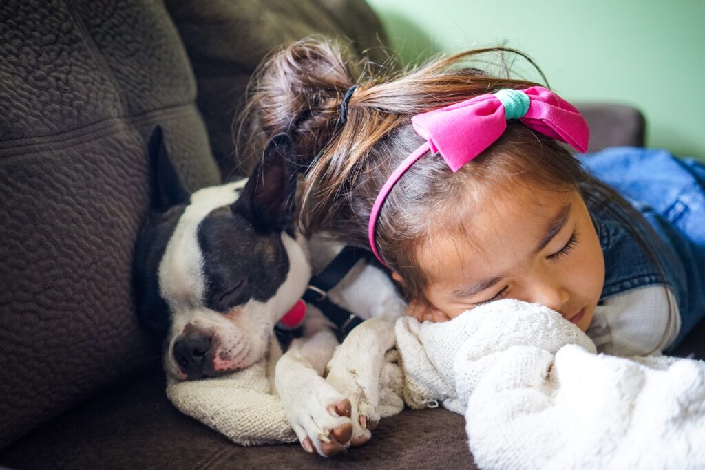Young girl snoozing on the sofa with a puppy. This is to go with an article discussing how you can introduce a puppy to young children.