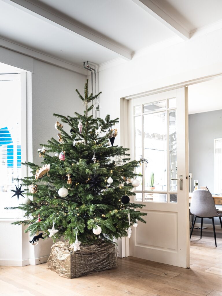 Christmas tree.