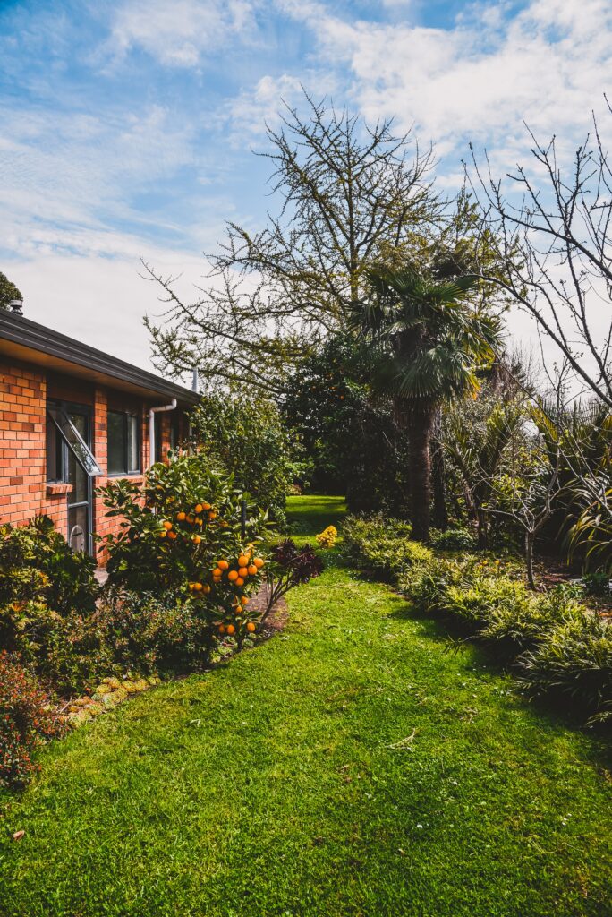 Green garden landscaping design.