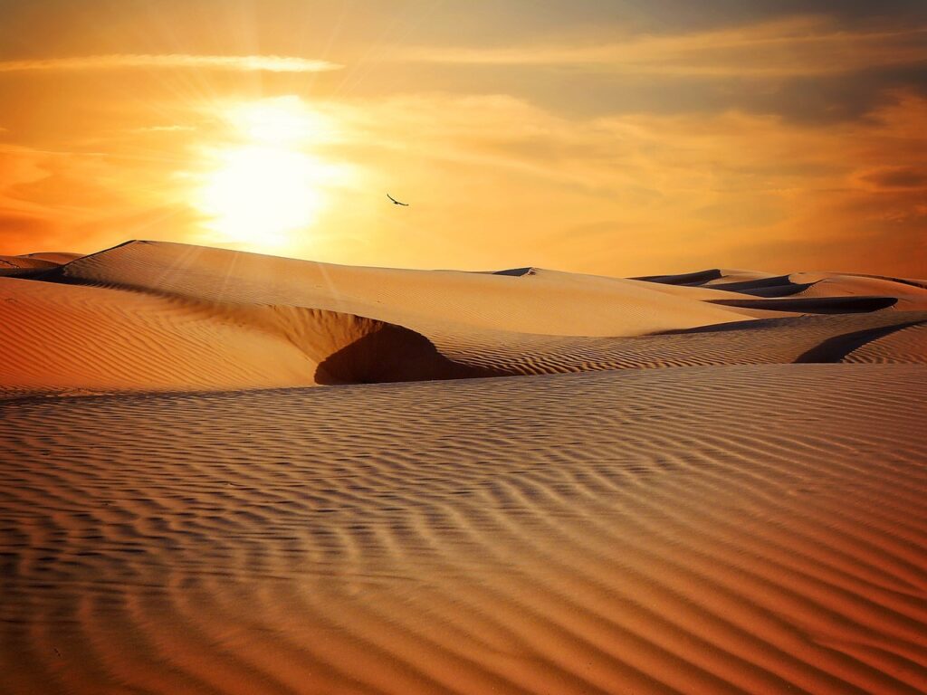 Explore Abu Dhabi with a rented Jeep Wrangler