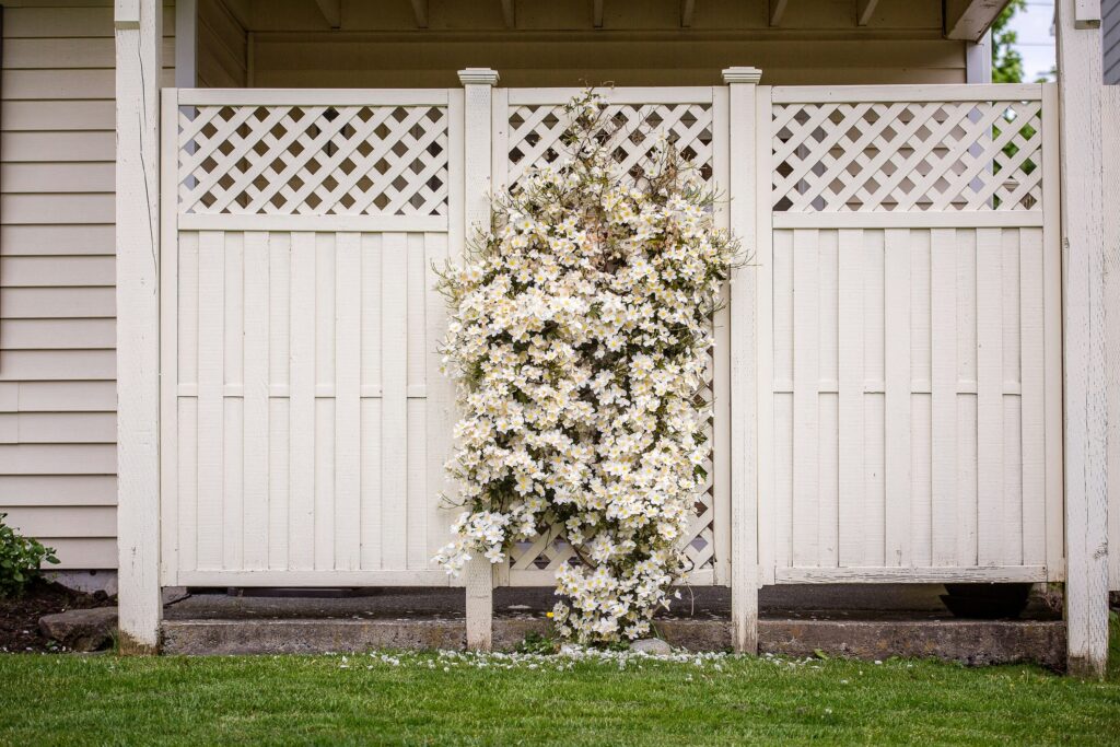 Natural fencing design with flowers climbing up.