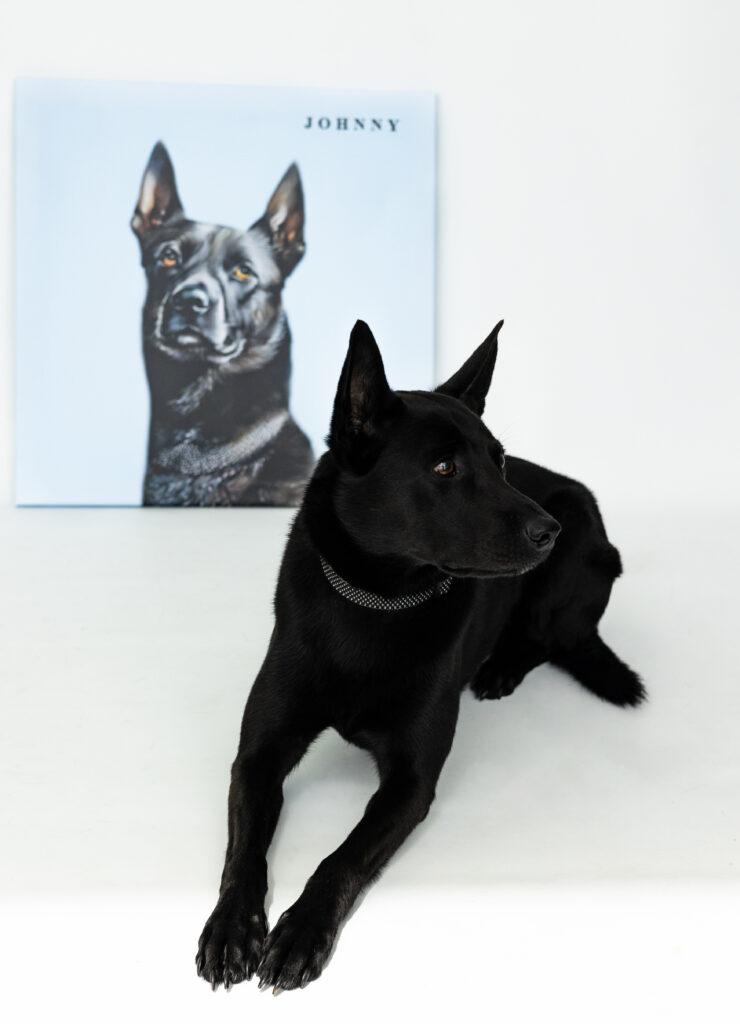 Image of a personalised pet portrait.