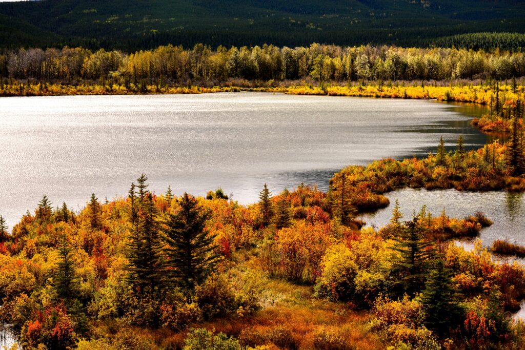 Banff, Canada is one of the most charming small towns to visit.