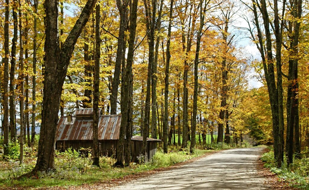 Autumn treks in New England are considered a top travel destination for every season.