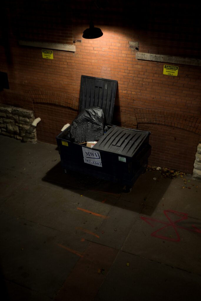 Junk bin hire