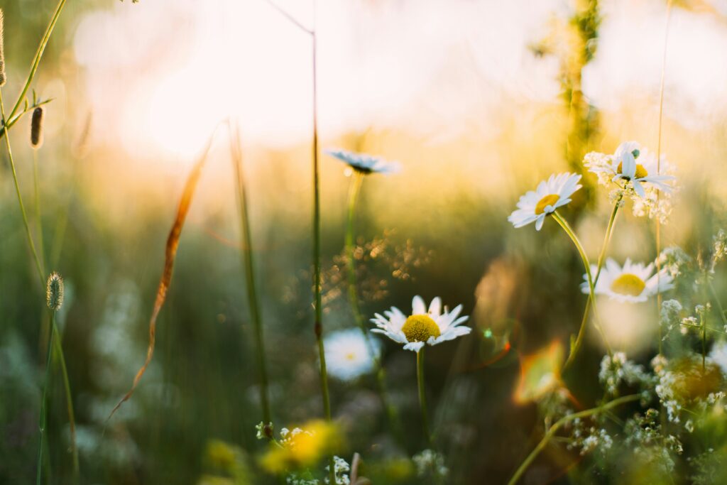Spring Blog Post Ideas for Every Niche.