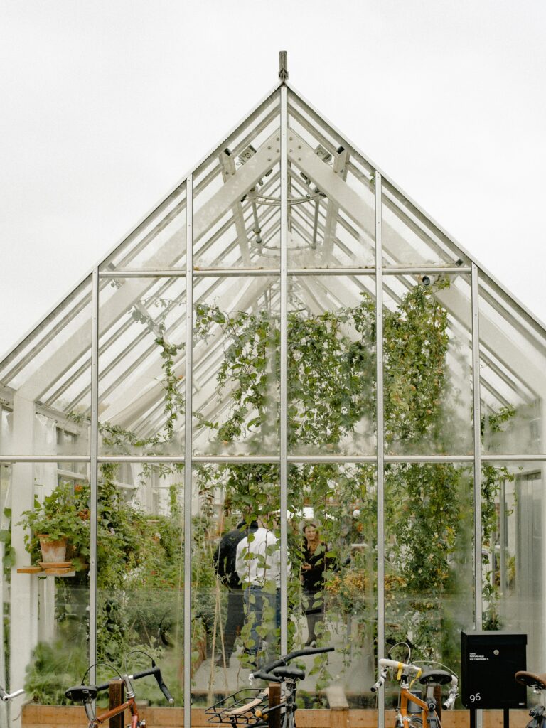 Greenhouse. This is to go with  an article comparing acrylic sheets and glass.