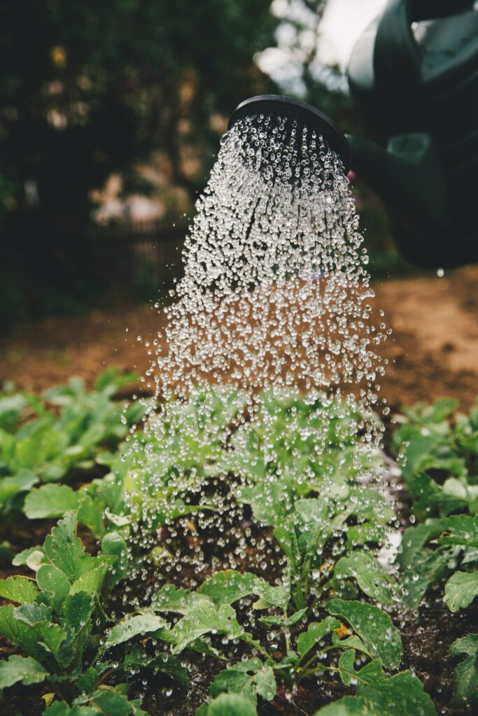 Make light work of gardening.