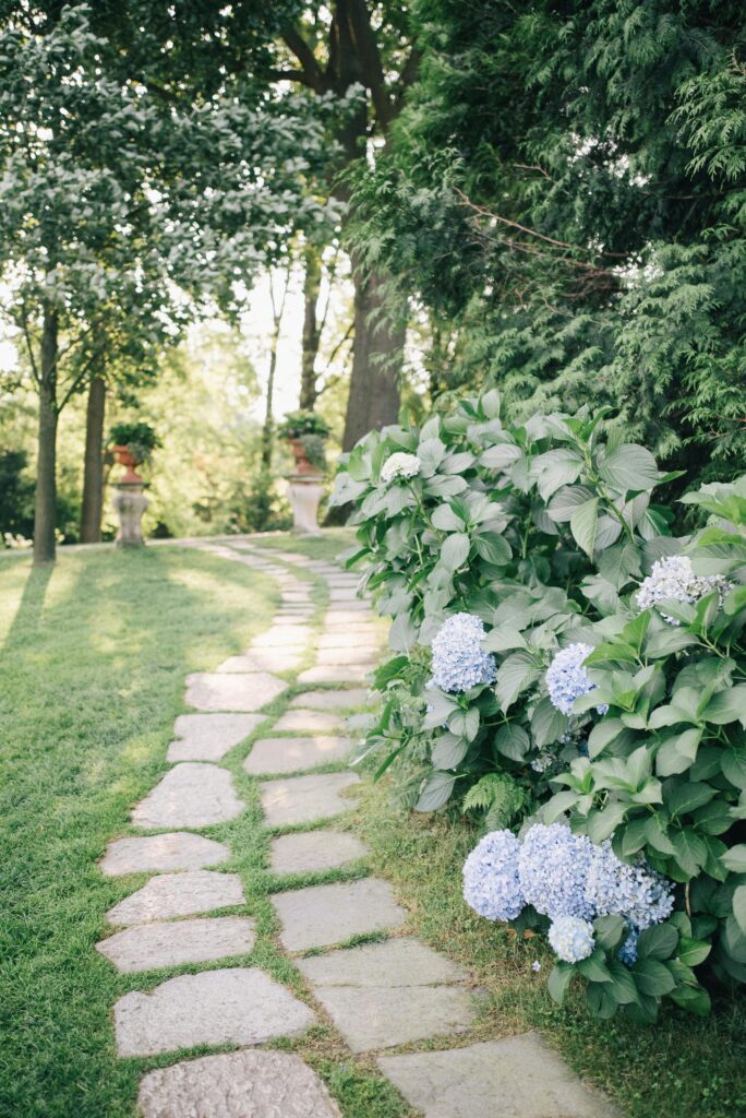 Paving slabs walking through a grassed garden.
