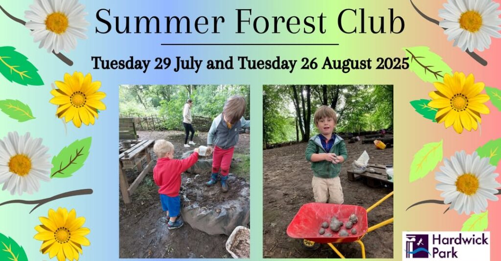 Hardwck Park Summer holidays.