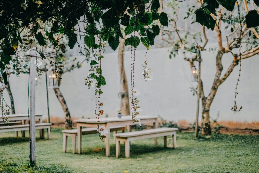 How to Host the Perfect Backyard Gathering