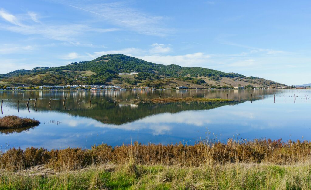 View overlooking a lake in Sonoma County, California.