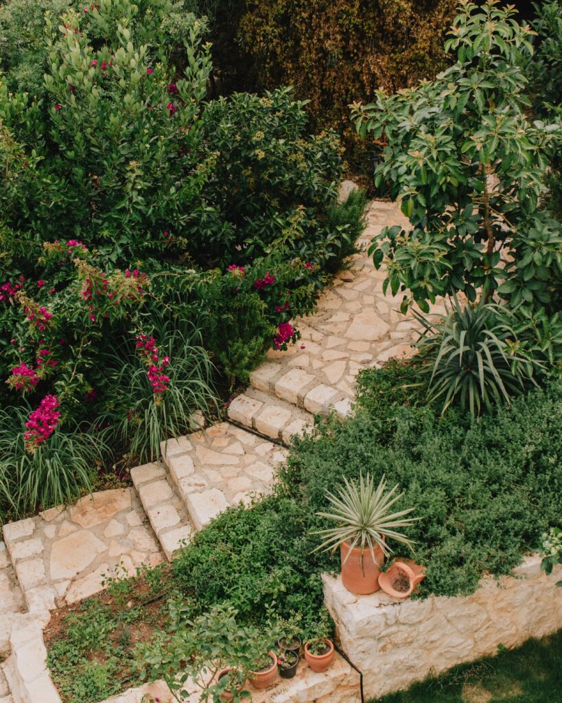 Path running through garden.