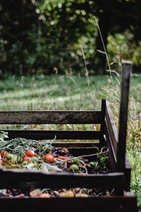 Practical Steps for a More Sustainable Lifestyle