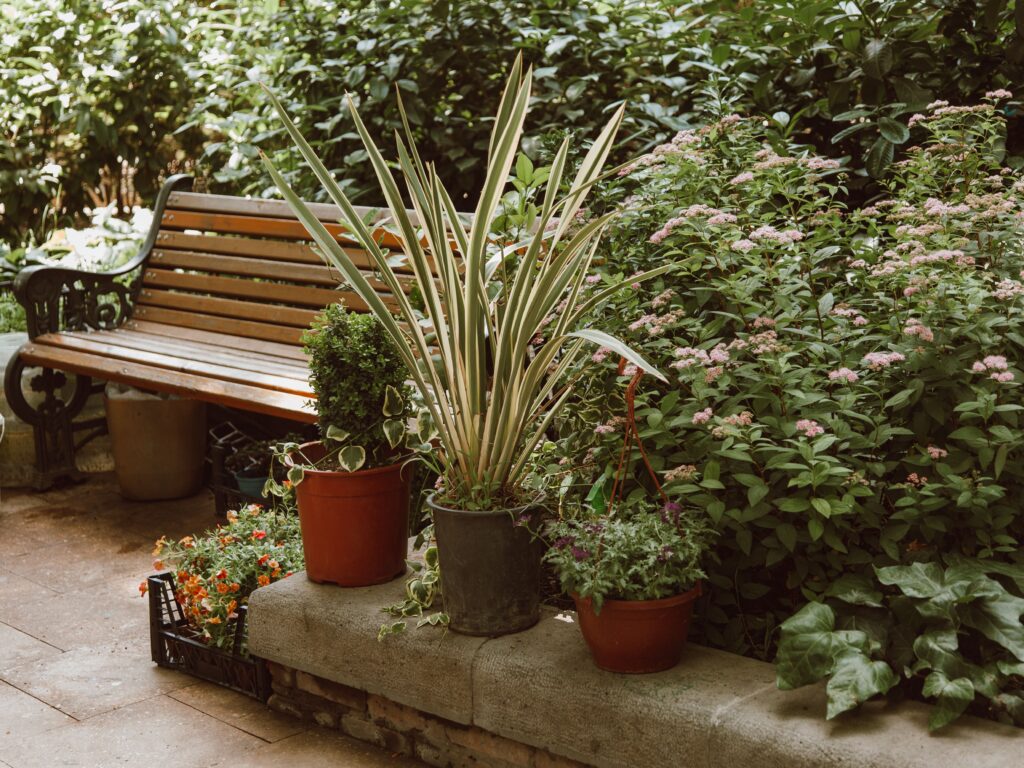 Home garden