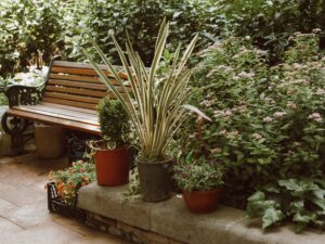 Creating a Garden That Survives a Busy Schedule