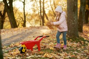 Why Every Playroom Needs an Outdoor Adventure Box